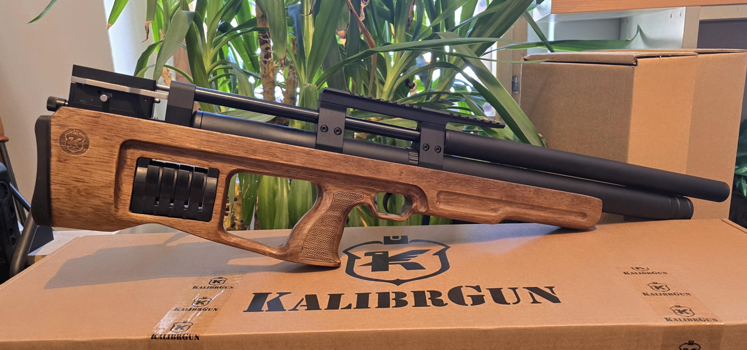 Kalibrgun Crikcet cal.25