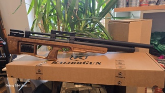 Kalibrgun Crikcet cal.25 700